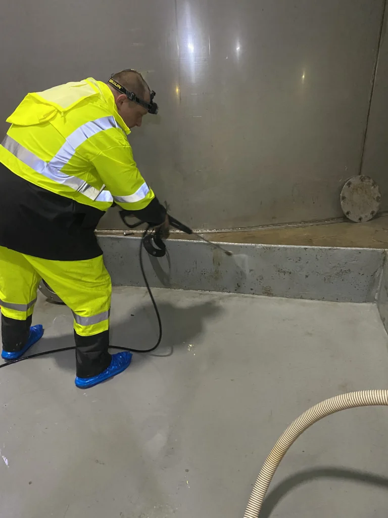 services mold remediation