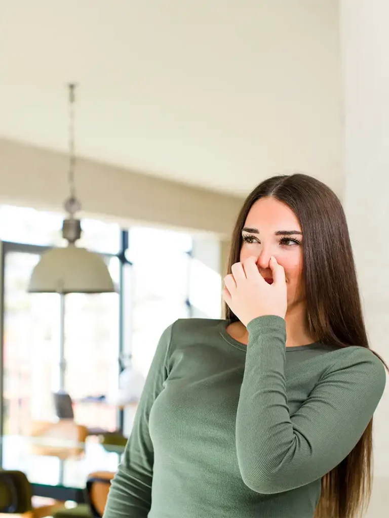 services Home Odor Removal